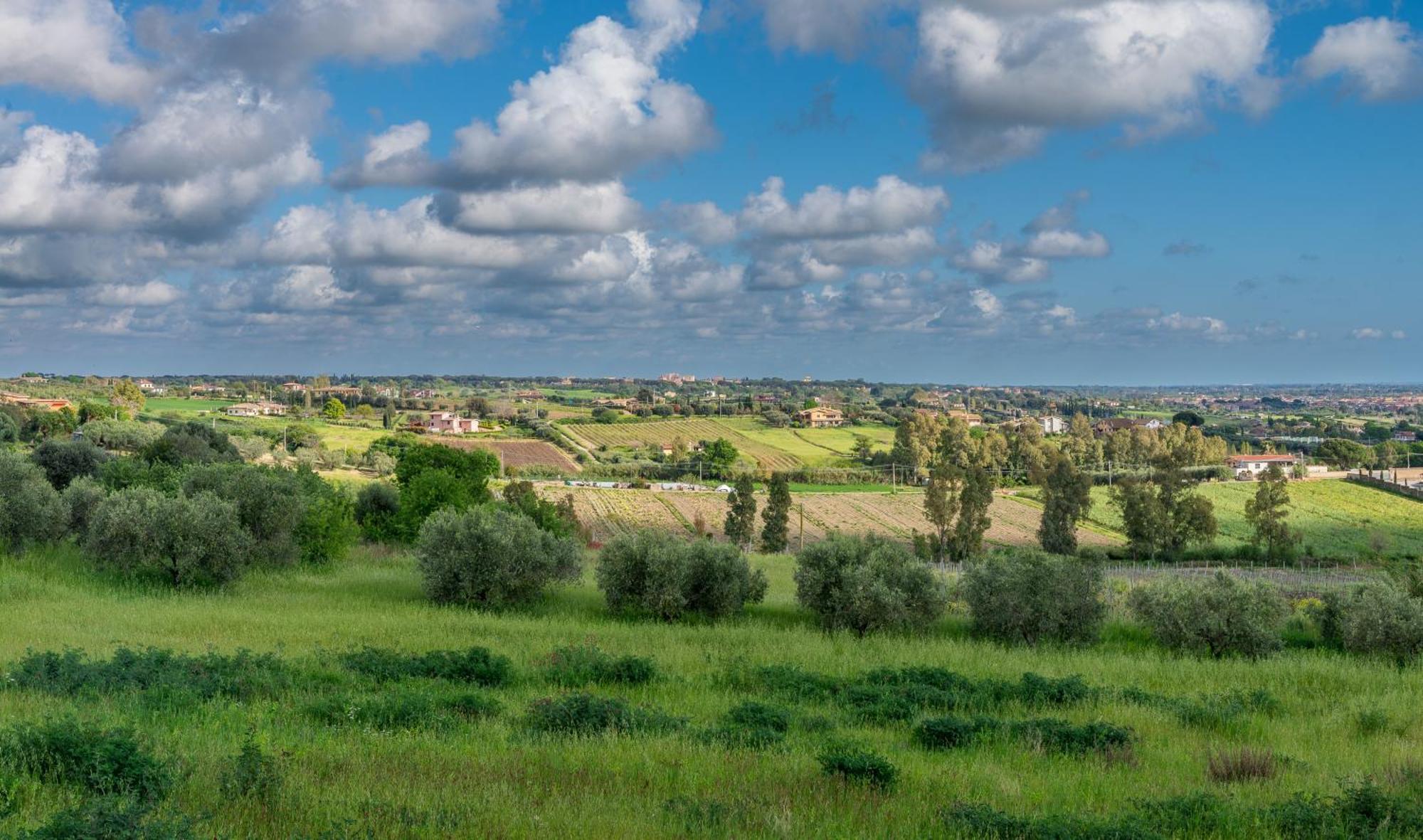 Villa Gli Eucalipti Cerveteri Extérieur photo